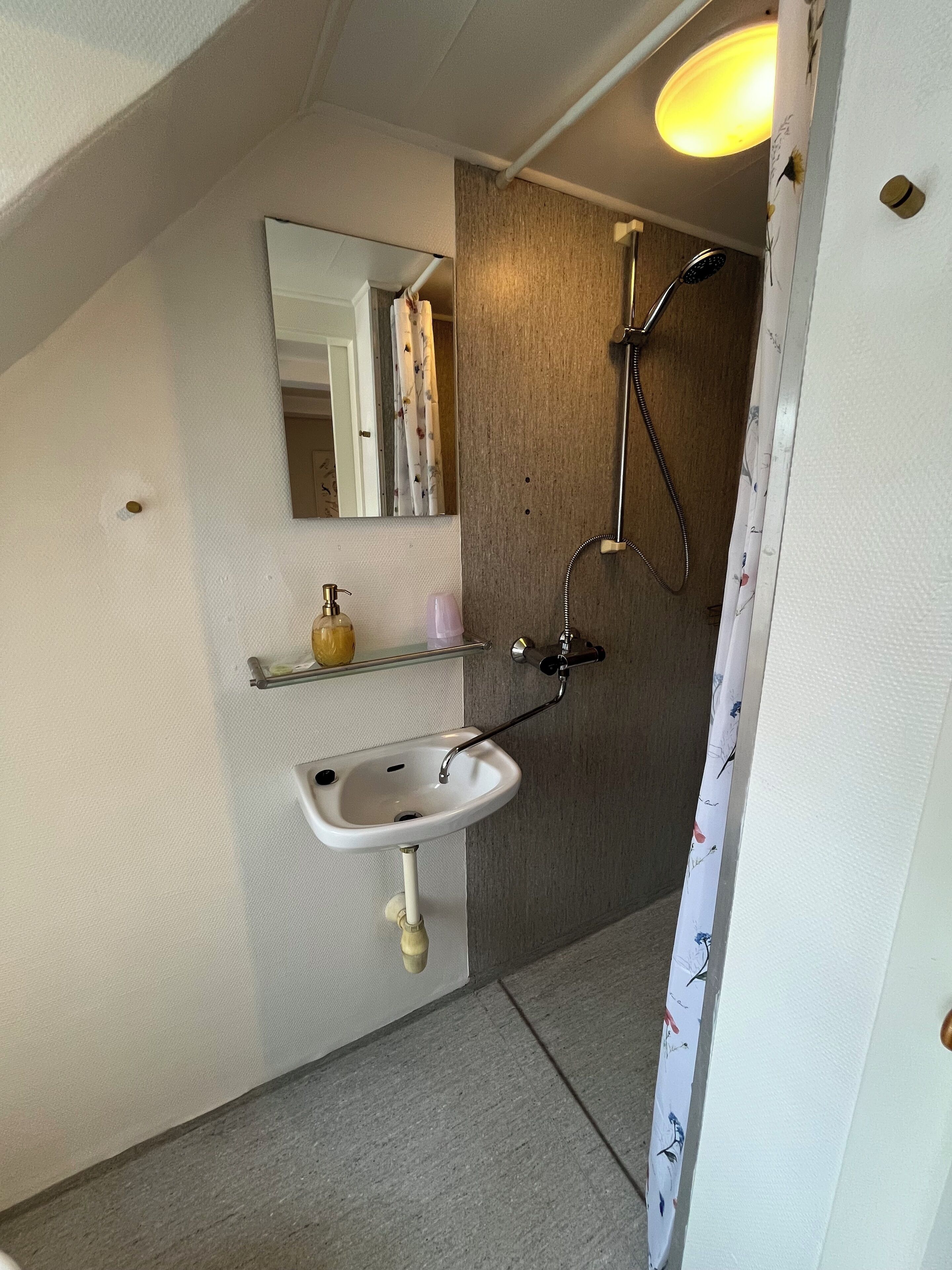 A bathroom with a white sink, a mirror, a shower with a handheld showerhead, and a towel rack.