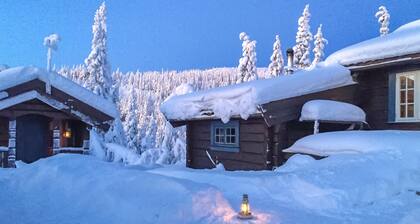Awesome home in Aurdal with sauna
