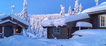 Awesome home in Aurdal with sauna