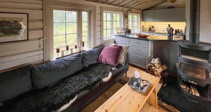 Tolles Haus in Aurdal mit Sauna