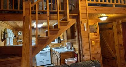 Cozy cabin in the woods. Peaceful and only 15 minutes to Mountain View.