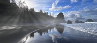 The Cove at Port Orford: Cormorant Suite