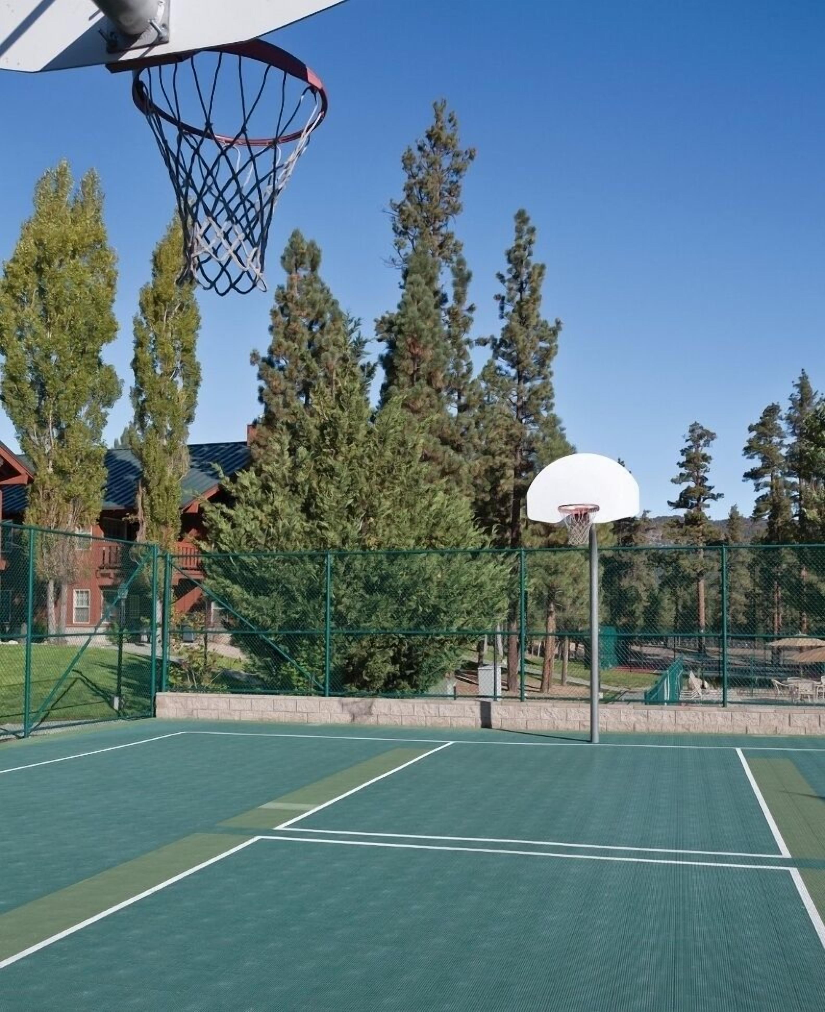 Terrain de sport