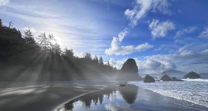 The Cove at Port Orford: Pelican Suite