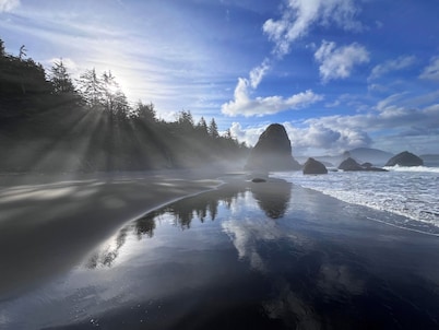 The Cove at Port Orford: Pelican Suite