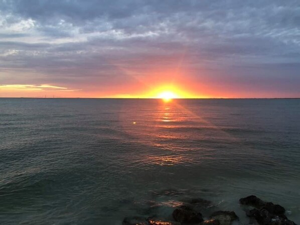 Uklassifisert bilde, 1 av 45, knapp