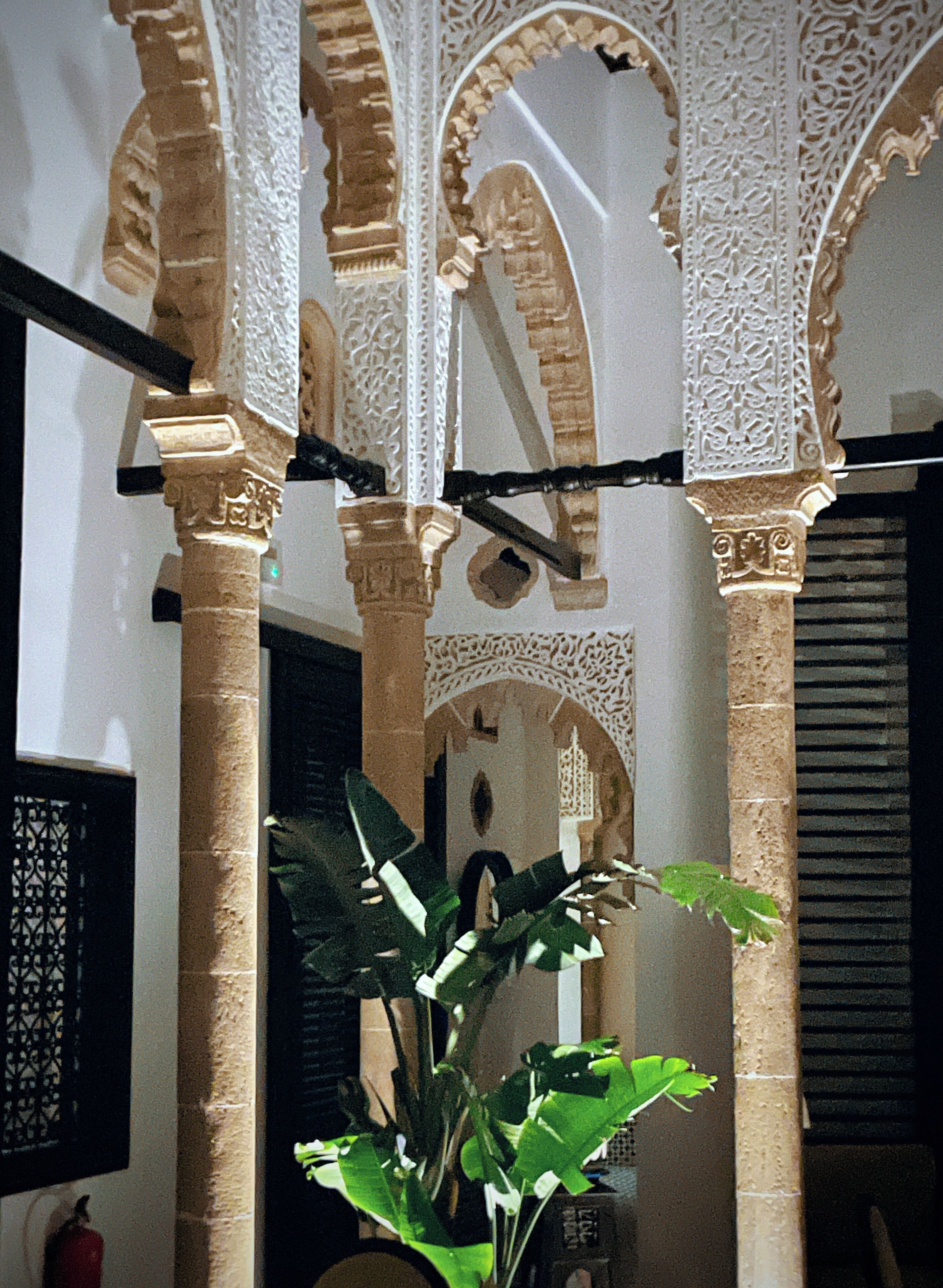 Photo - Dar Lalzohra