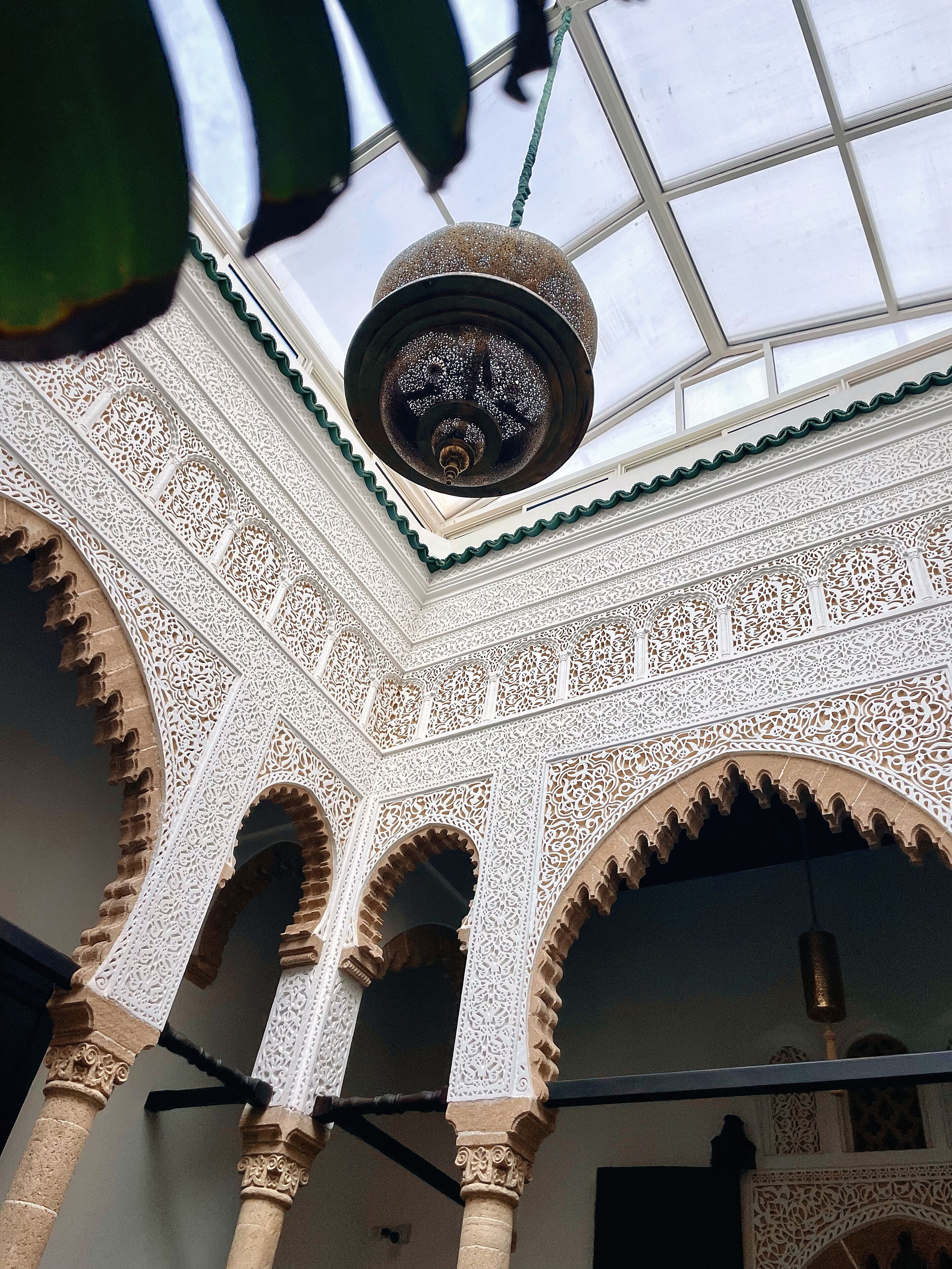 Photo - Dar Lalzohra