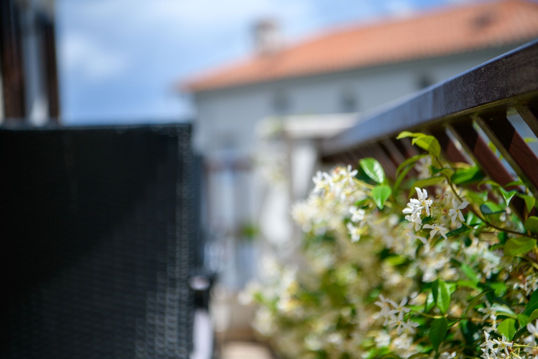 Un balcon avec une balustrade en métal et des fleurs blanches en arrière-plan.