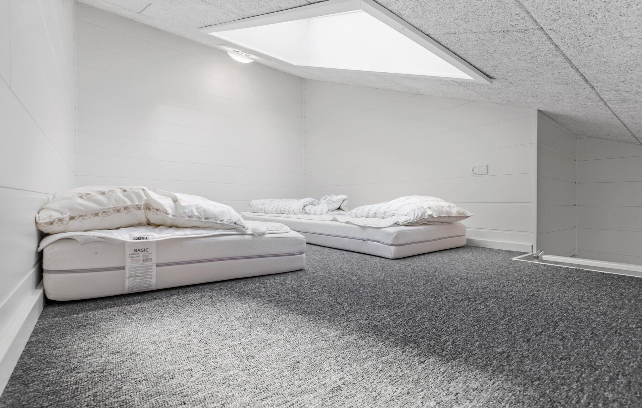 Una habitación minimalista con dos camas, un tragaluz y suelo alfombrado.