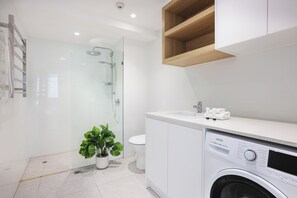 Shower, hair dryer