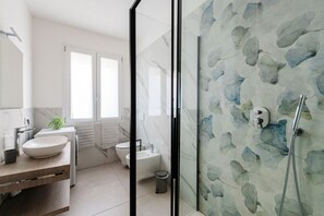 Shower, hair dryer, bidet, towels
