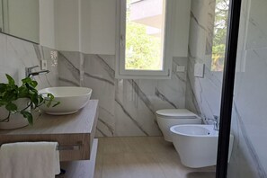 Shower, hair dryer, bidet, towels