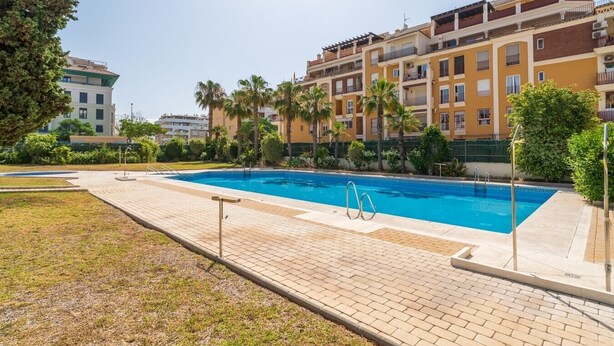 Una piscina con solárium de azulejos, rodeada de palmeras y un edificio de varios pisos con balcones.