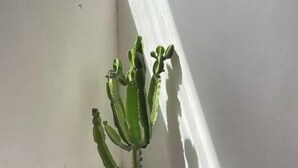 建筑设计
