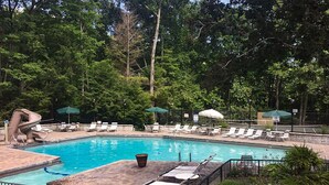 Une piscine entourée d’arbres, avec des chaises longues et des parasols.