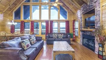 TV, fireplace, video games, DVD player