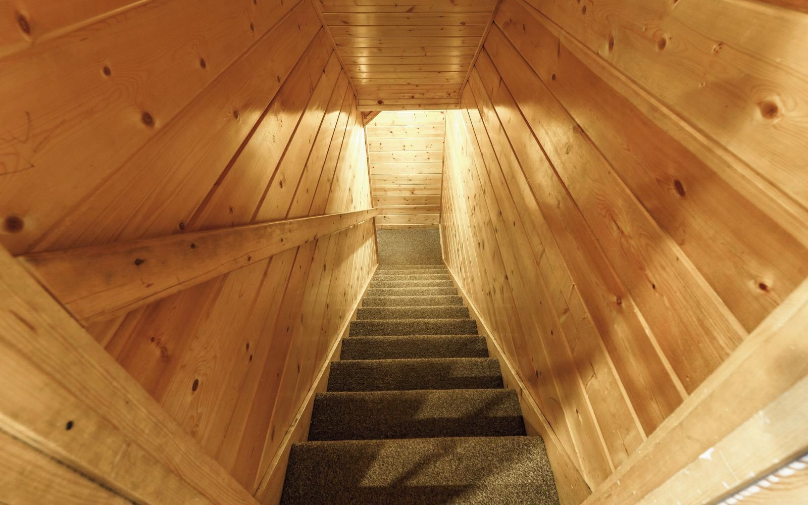 A wooden interior with a carpeted staircase leading to a higher level.
