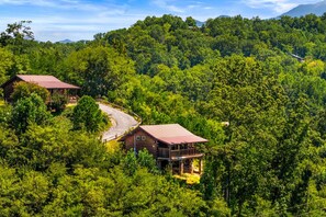 A cabin with a curved driveway surrounded by dense forest. - Mountain views and a cozy hot tub! - Always (Gatlinburg)