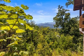 A forested landscape with a view of distant mountains and a wooden structure.