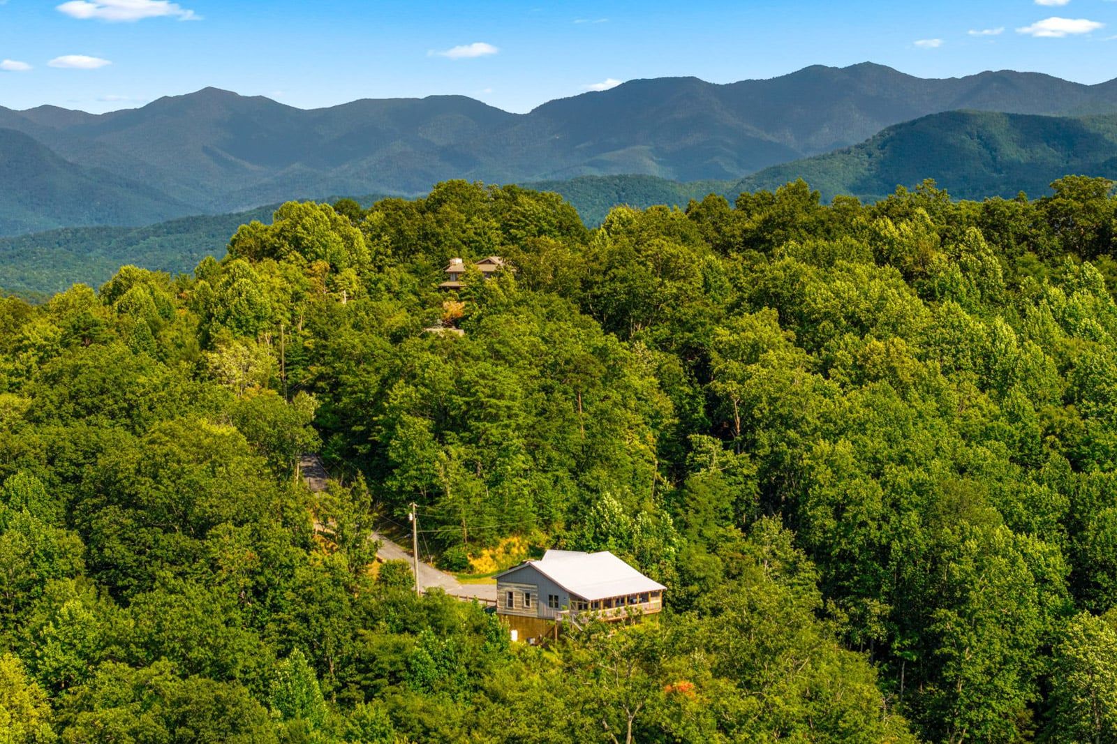 A house surrounded by dense forest with a mountain range in the background.