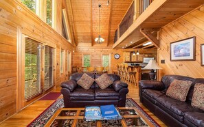 TV, fireplace, video games, DVD player