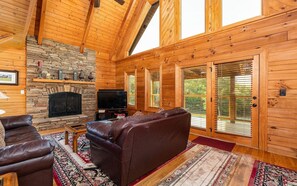 TV, fireplace, video games, DVD player