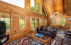 TV, fireplace, video games, DVD player