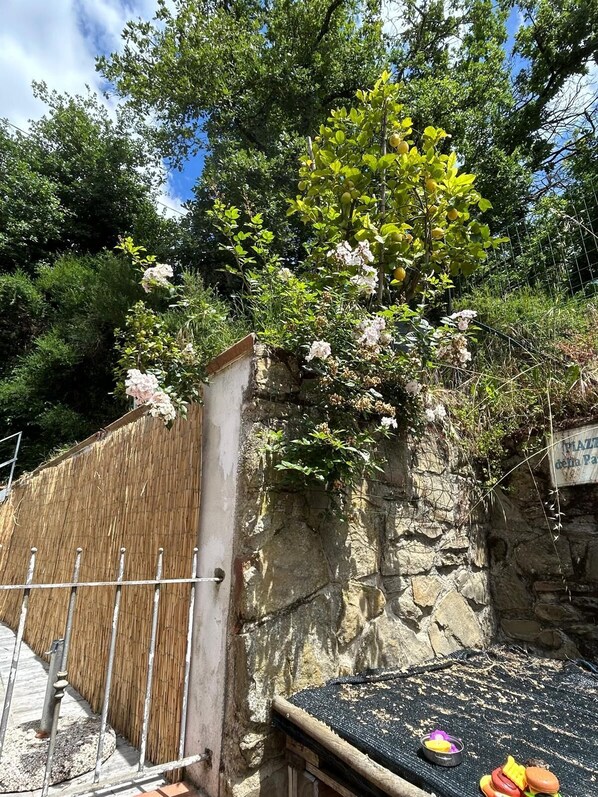 Property grounds - Vacanze toscane relax e privacy (larciano)