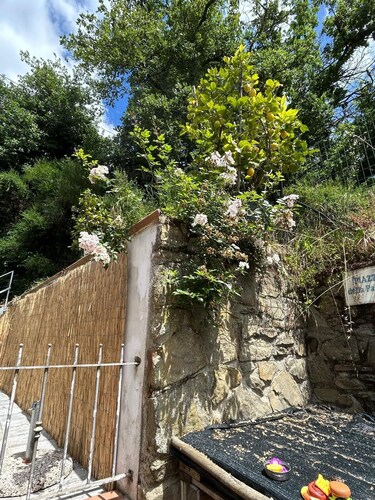 Vacanze toscane relax e privacy