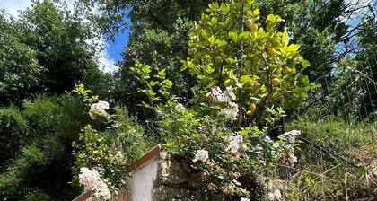 Vacanze toscane relax e privacy