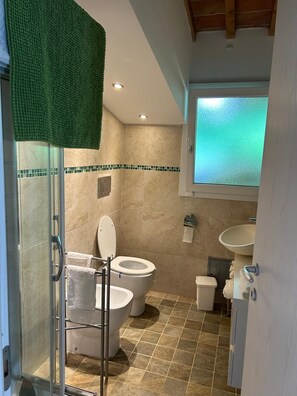 Shower, hair dryer, bidet, towels