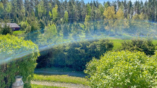 Un paisaje rural con una casa, un bosque denso y un cielo despejado.