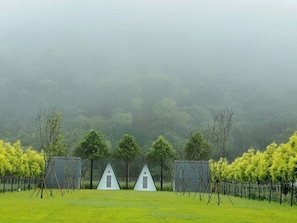 Free WiFi - guantau (Puli)