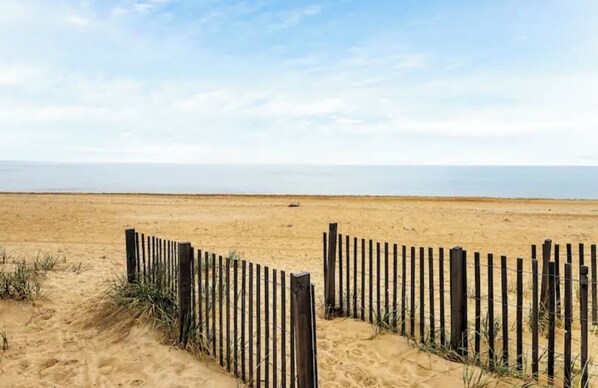 Camastros y toallas de playa