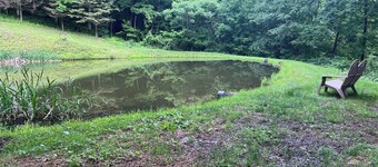 Camping in the Laurel Highlands. Nearby to Ohiopyle and Yough Lake.