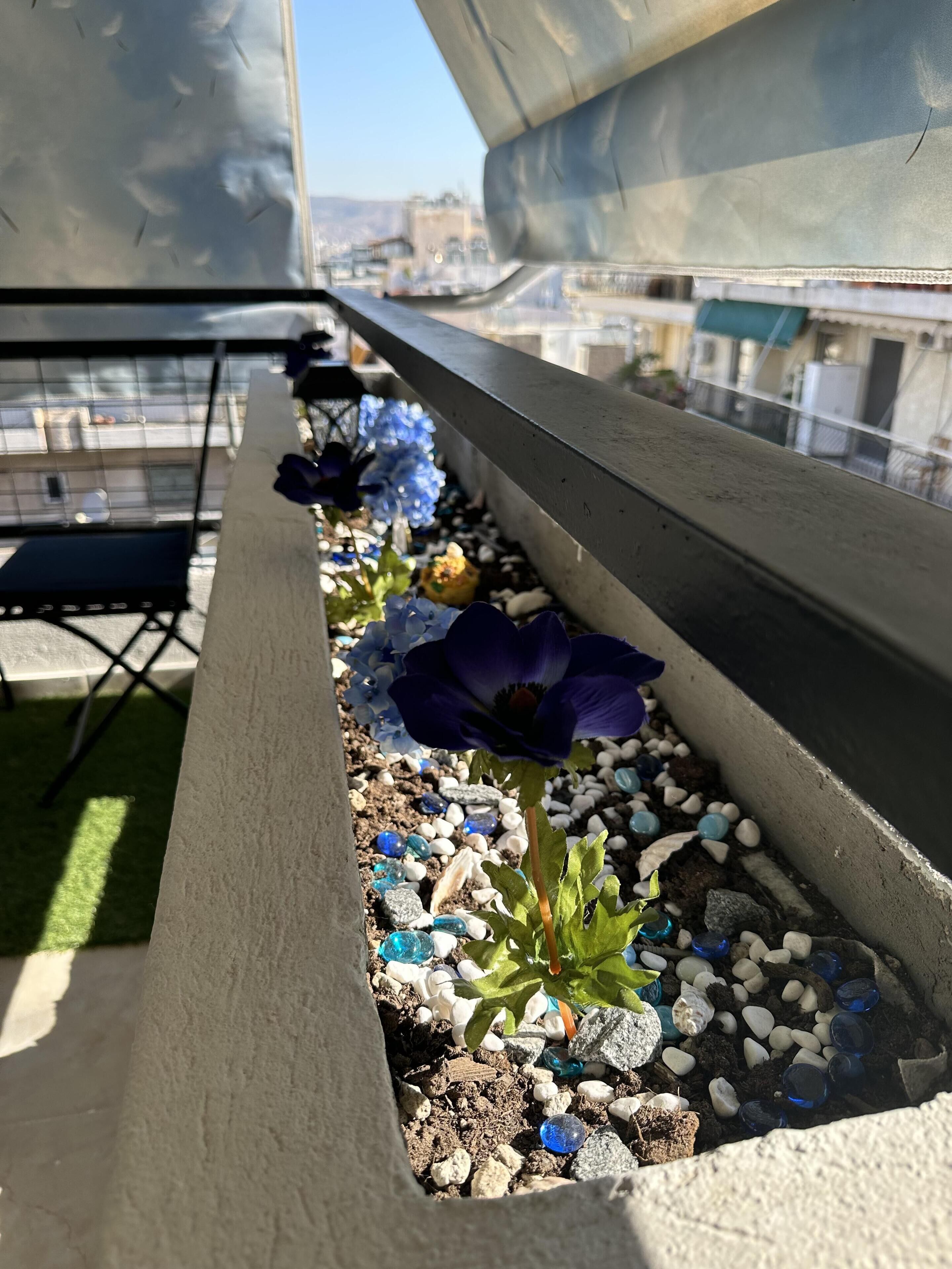 A rooftop garden with a row of potted plants and pebbles.