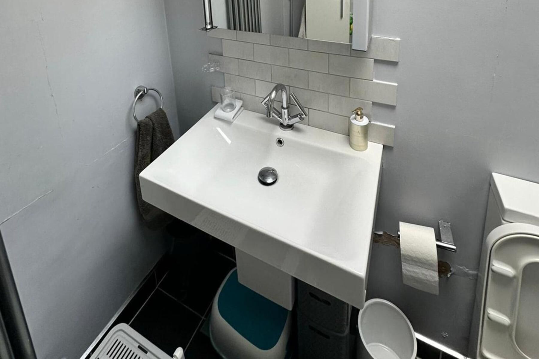 Une salle de bain avec un lavabo blanc, un miroir au-dessus, un porte-serviettes et des toilettes.