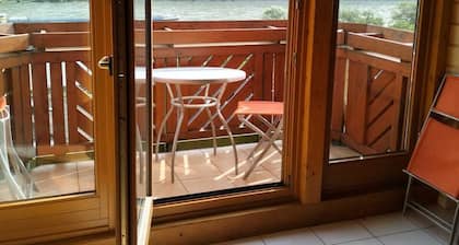 Modernly furnished villa with a spectacular view of the Rhine