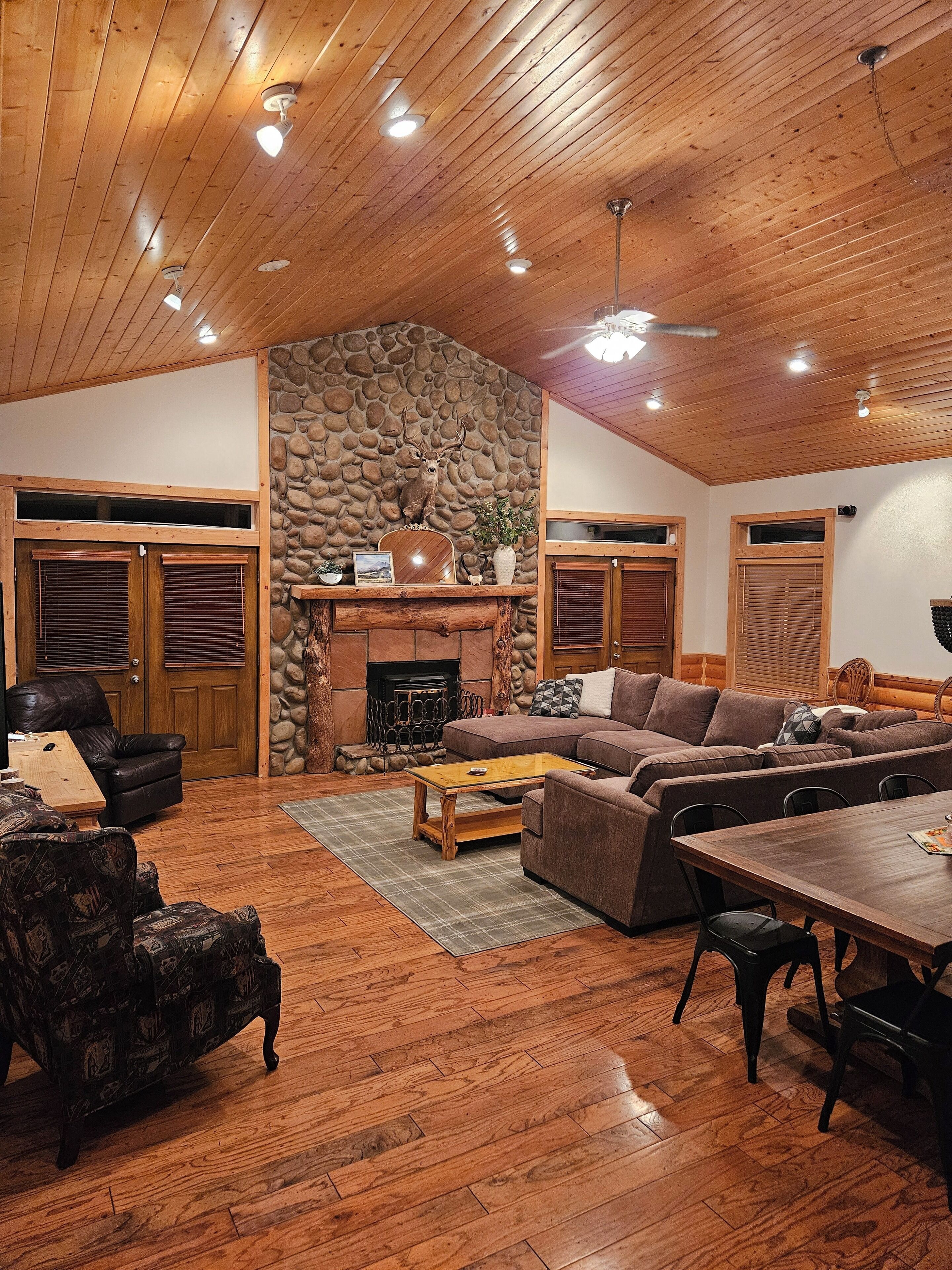 Televisión, chimenea, reproductor de DVD y libros 