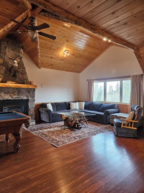 TV, fireplace, DVD player, books