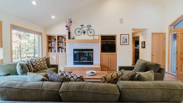 TV, fireplace, books