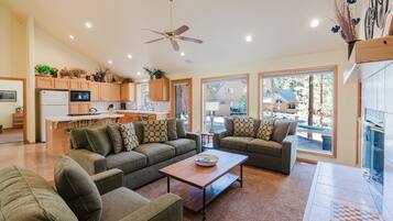 TV, fireplace, books