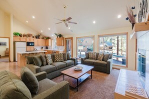 TV, fireplace, books