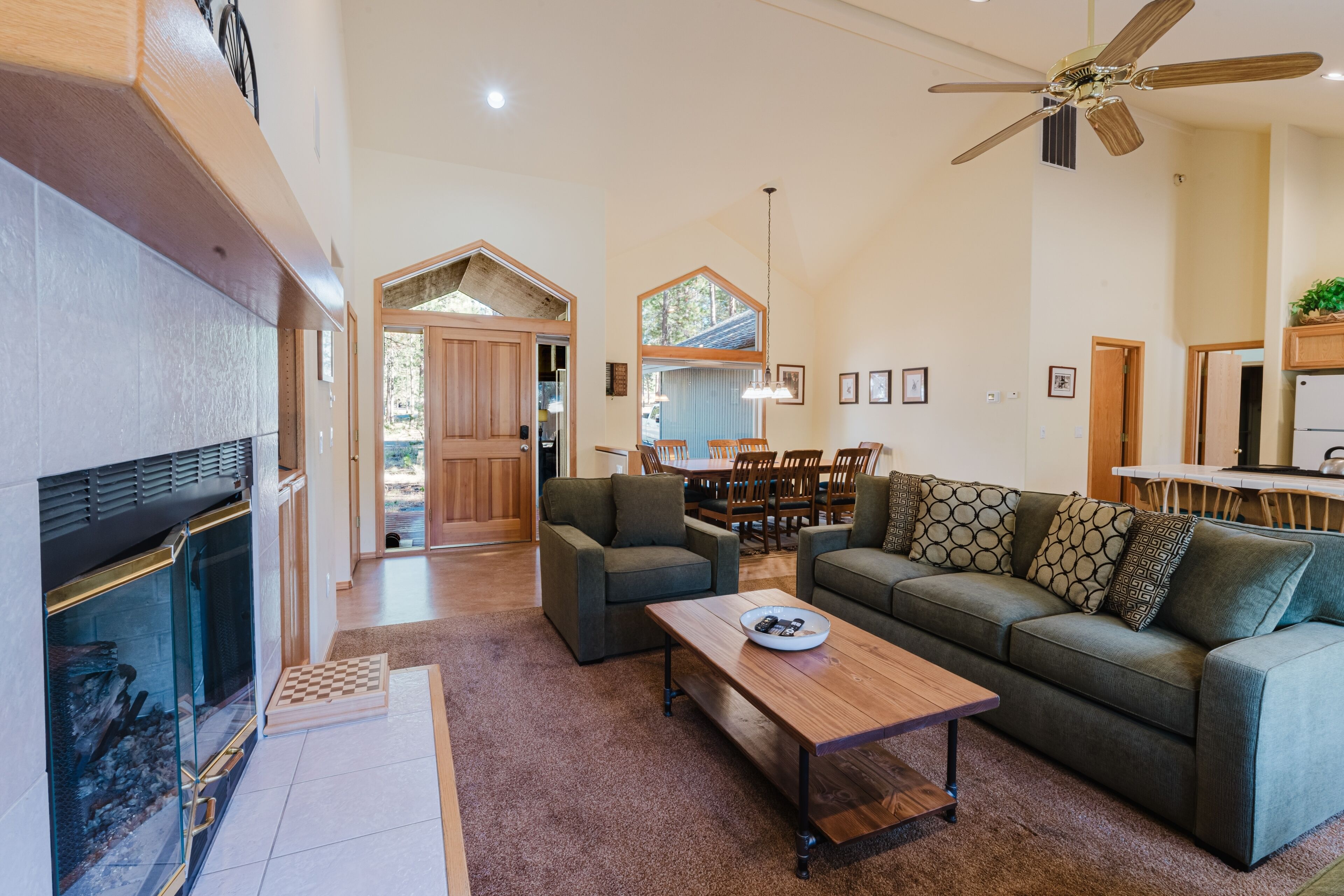 TV, fireplace, books