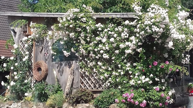 A rustic building with a stone wall, a wooden fence, and a variety of flowering plants. - Apartment 'Dischhansenhof' with Mountain View, Shared Garden and Wi-Fi (Glottertal)