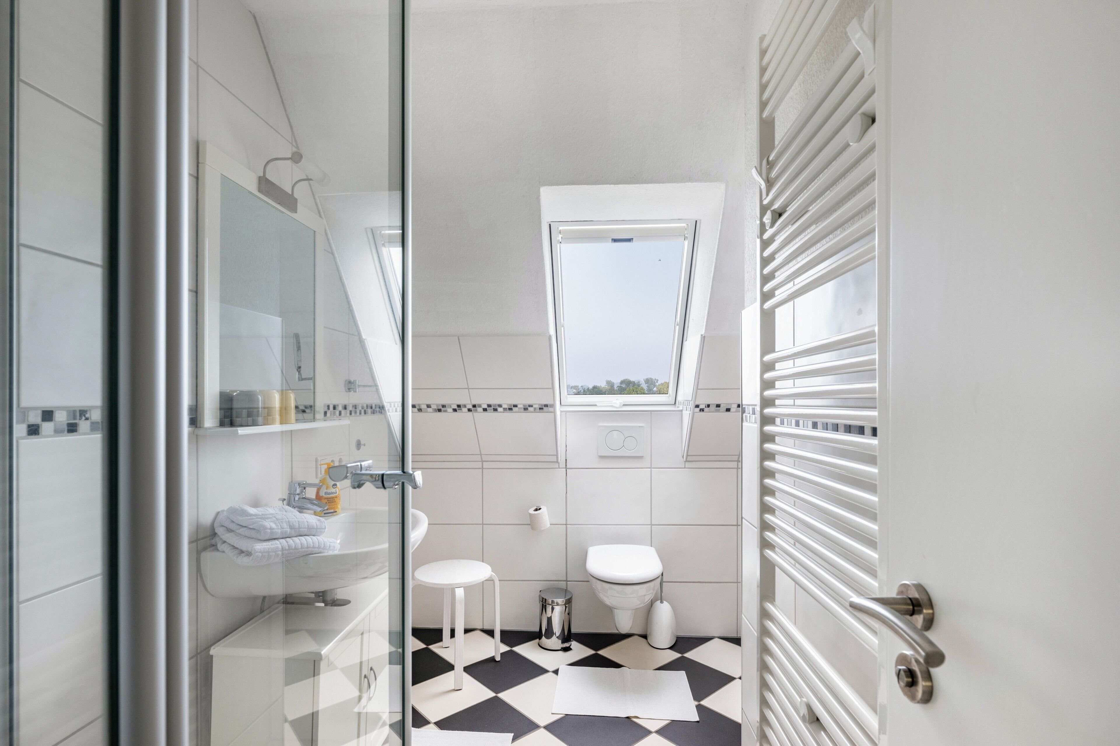 Shower, hair dryer, towels