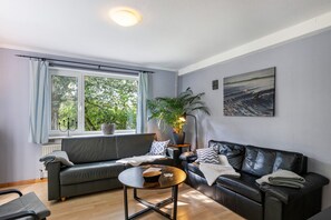 Fernseher, DVD-Player