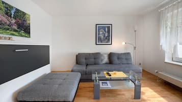 TV, DVD player, table tennis