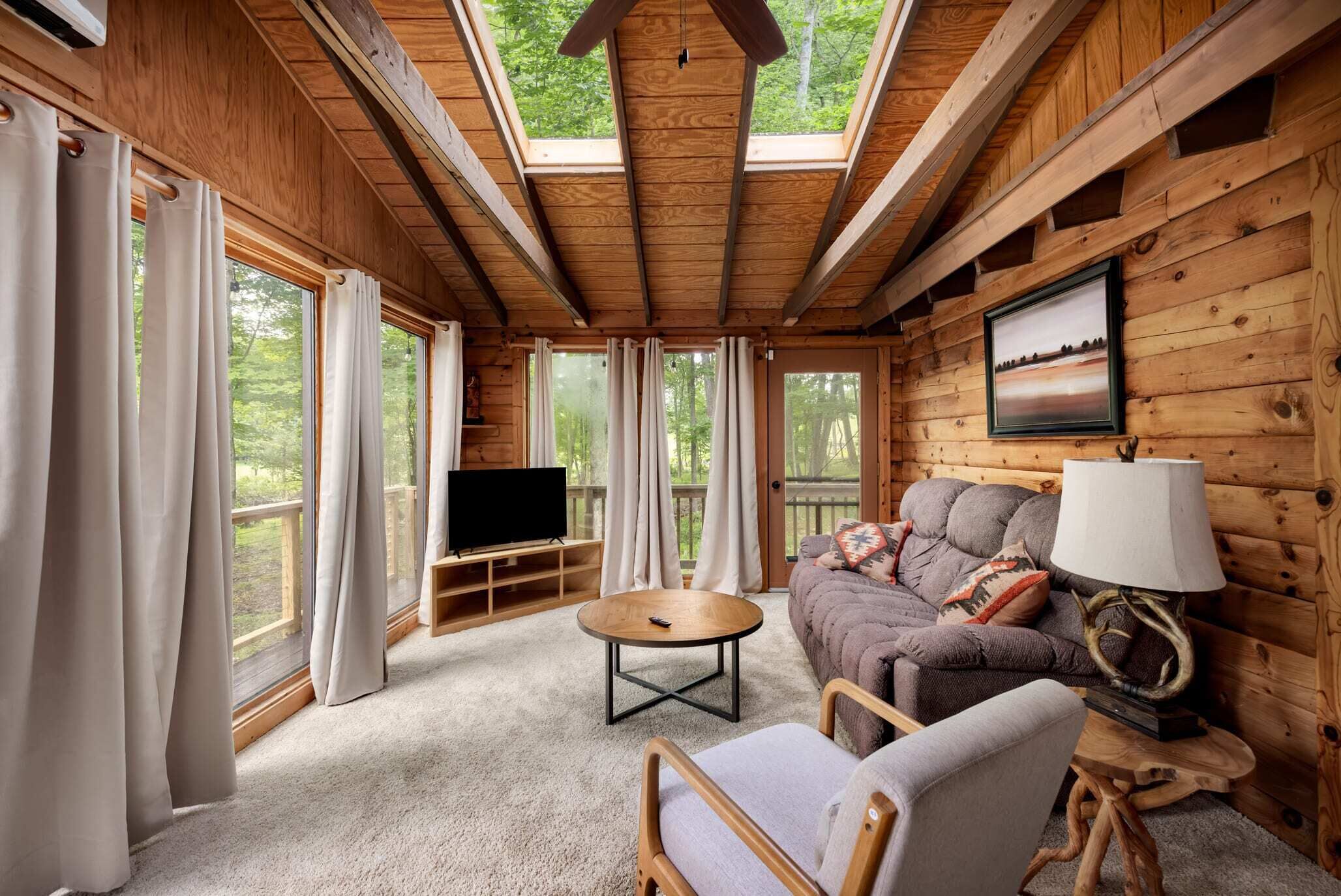 Televisor, llar de foc i llibres 